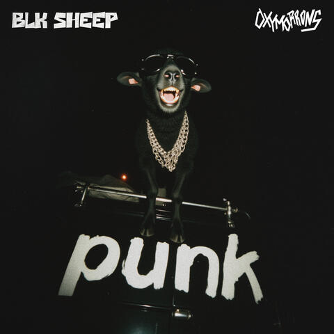 BLK SHEEP album art