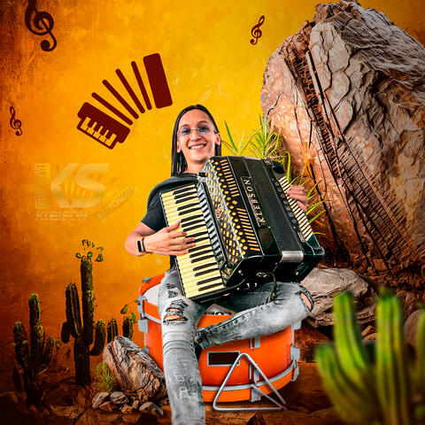 Xote & Sanfona pra Relaxar album art