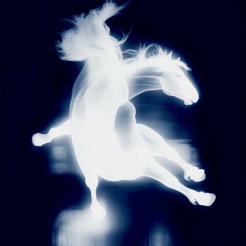 Ojos Veneno album art