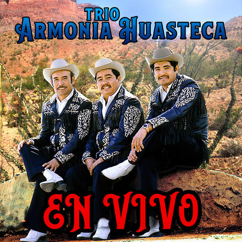 En Vivo album art