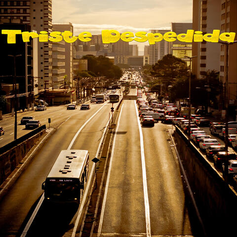 Triste Despedida album art