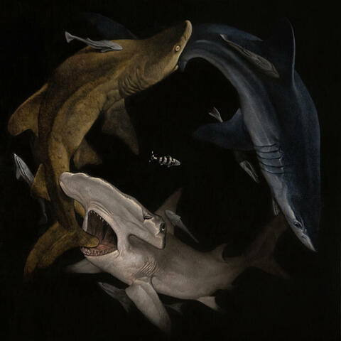 Deep Dive (3Am at Isabelles) album art