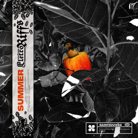 Summer Eletroriffs album art