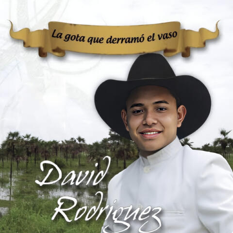 La Gota Que Derramó el Vaso album art