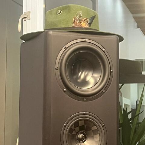 If I Could Only Fly album art