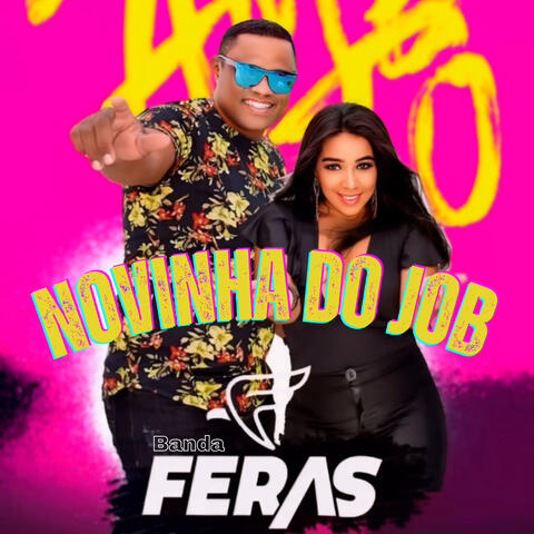 Novinha do Job album art