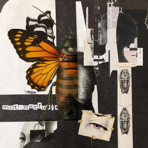Metamorfosis album art