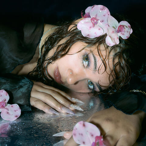 Desilusionar ₊˚⊹⋆ album art