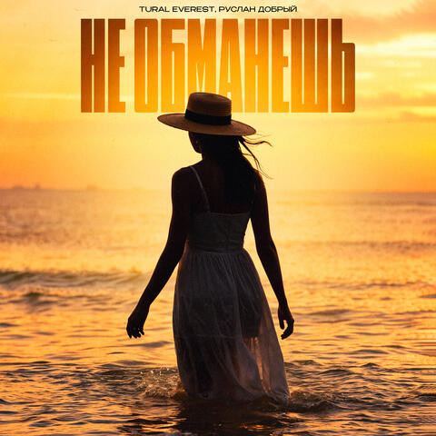 Не обманешь album art