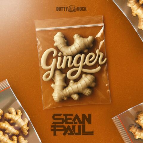 Ginger album art