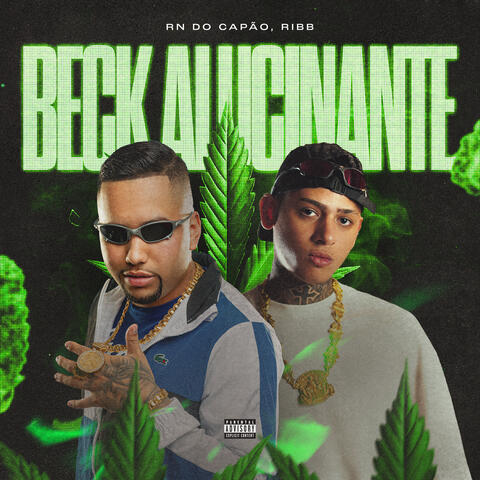 Beck Alucinante album art