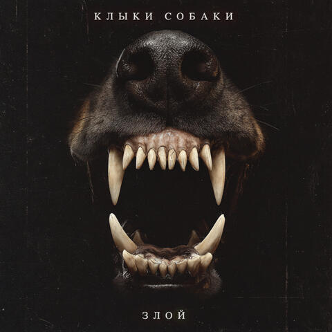 ЗЛОЙ album art