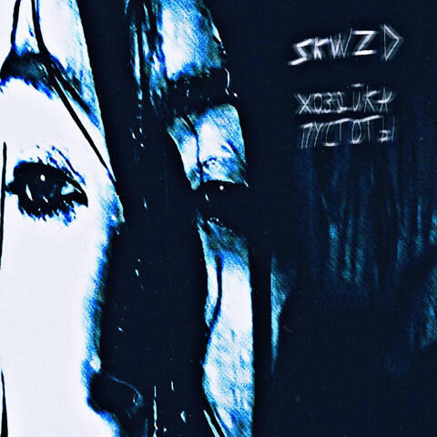 Хозяйка пустоты album art