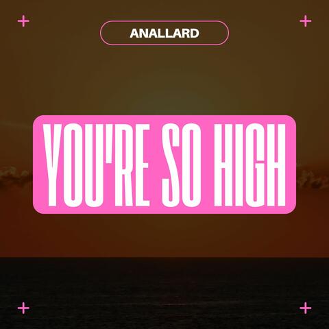 You're so High album art