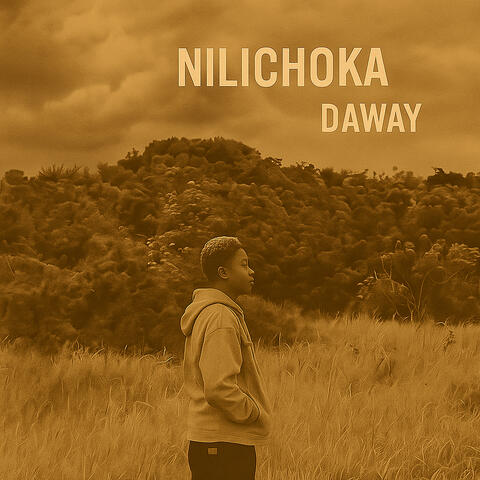 Nilichoka album art