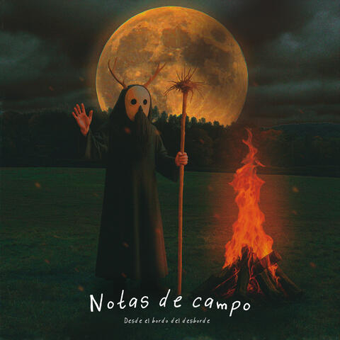 Notas de Campo Desde el Borde del Desborde album art