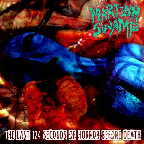 The Last 124 Seconds of Horror Before Death album art