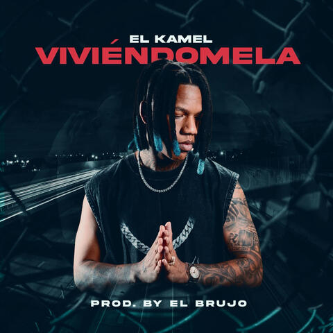 Viviendola album art