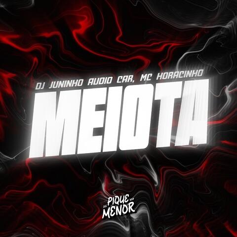 Meiota album art