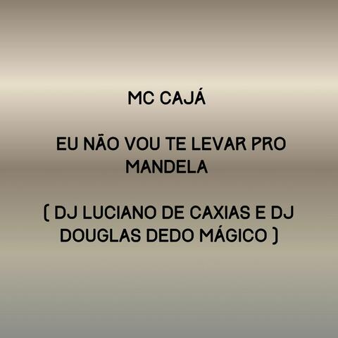 Eu Não Vou Te Levar pro Mandela album art