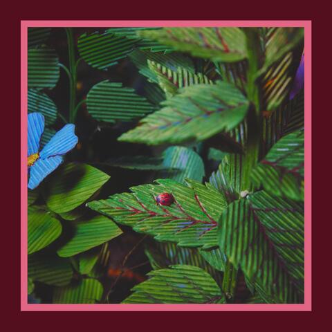 There You Go Again album art
