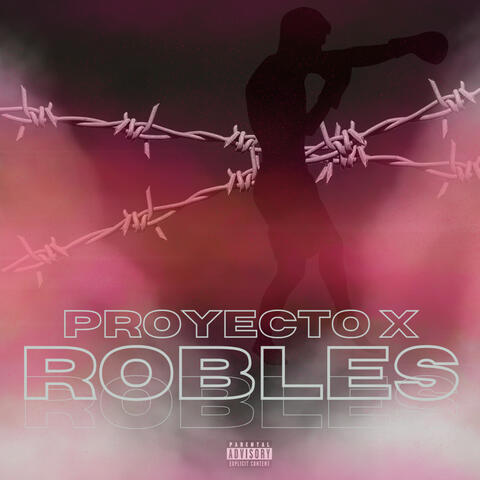 Robles album art