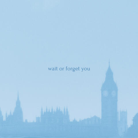 Wait or Forget You album art
