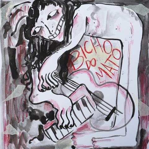 Bicho do Mato album art
