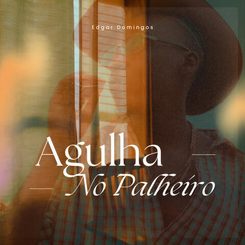 Agulha no Palheiro album art