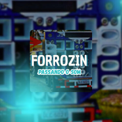 Forrozin - Passando o Som album art