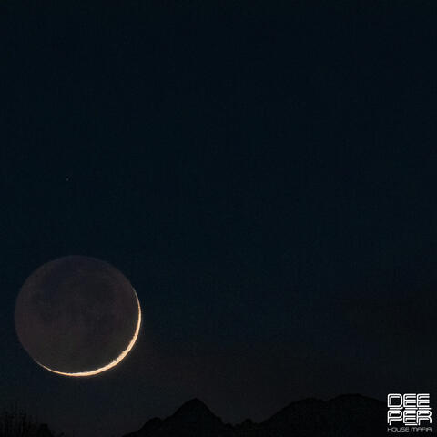 Insomnia album art