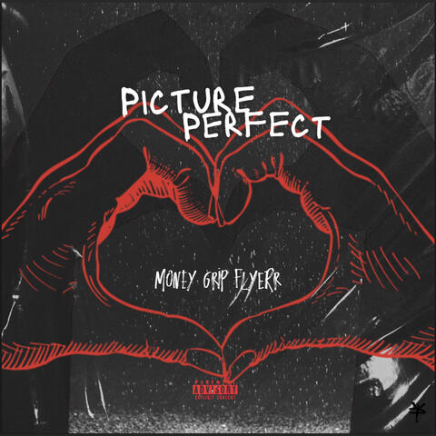 Perfect Picture album art
