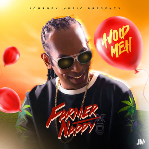 Avoid Meh album art