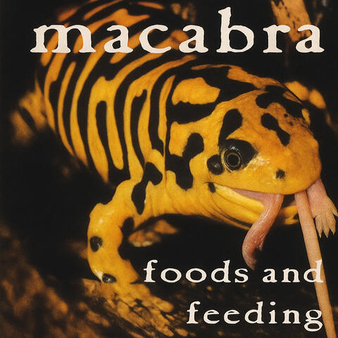 Foods and Feeding album art