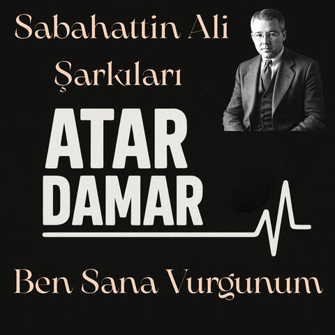 Sabahattin Ali Şarkıları - Ben Sana Vurgunum album art