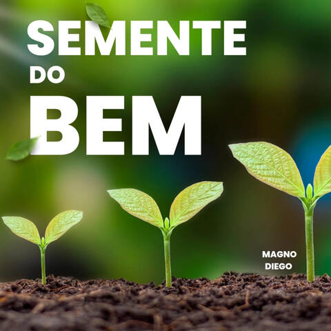 Semente do Bem album art