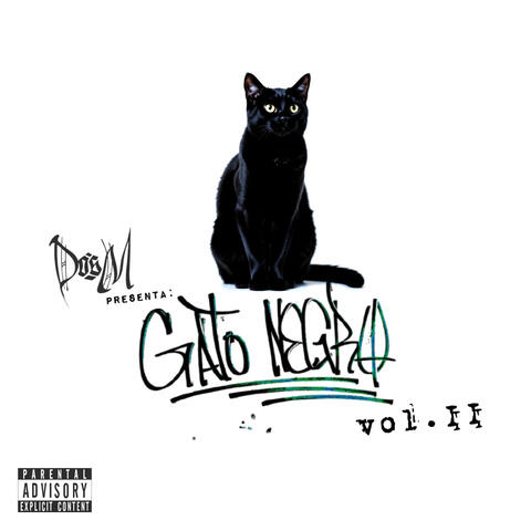 Gato Negro Vol. II album art