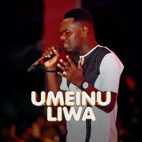 Umeinuliwa album art