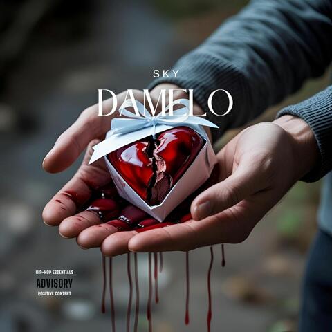 Damelo album art