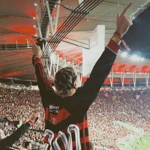 O Flamengo É Seleção album art