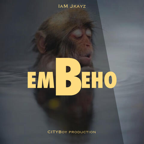 Embeho album art