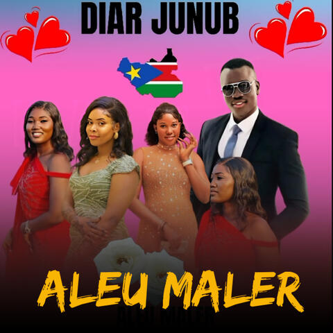 Diar Junub album art