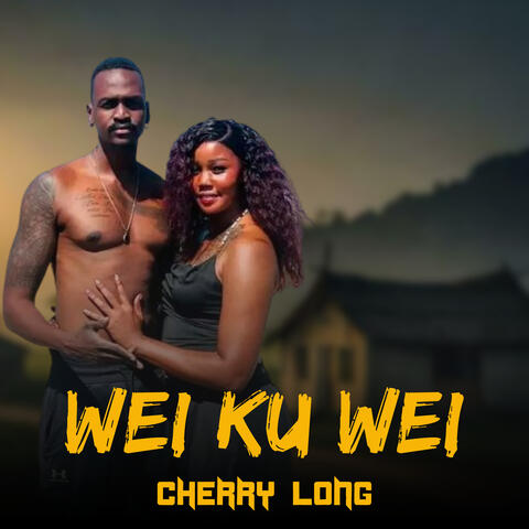 Wei Ku Wei album art