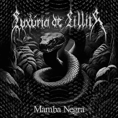Mamba Negra album art
