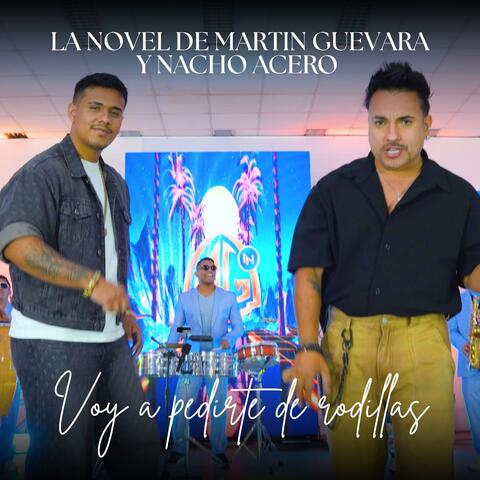 Voy a Pedirte de Rodillas album art