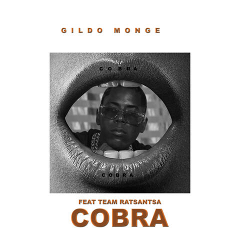 Cobra album art