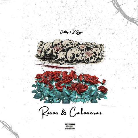 Rosas & Calaveras album art