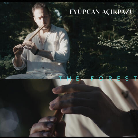 The Forest album art