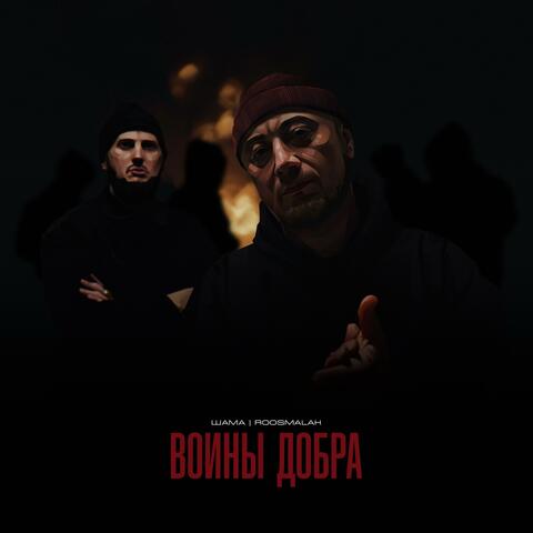 Воины добра album art
