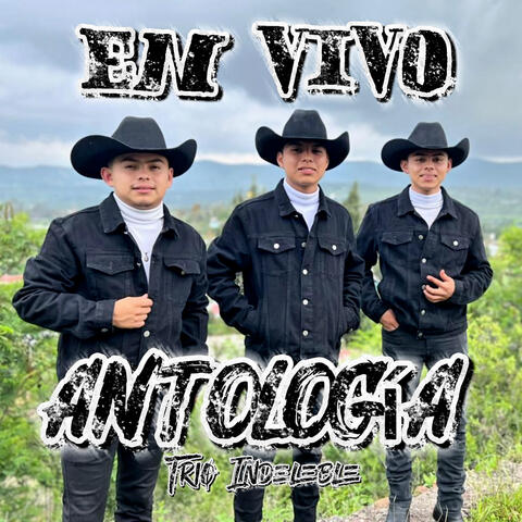 Antología album art